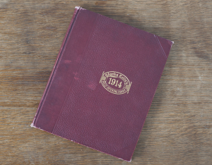 1. Olive's Diary: Cover